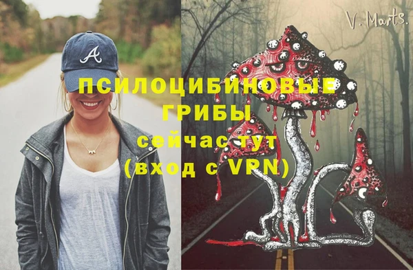 хмурый Абдулино