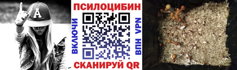 блэк спрут зеркало  Александровск  Галлюциногенные грибы MAGIC MUSHROOMS  дарнет шоп 